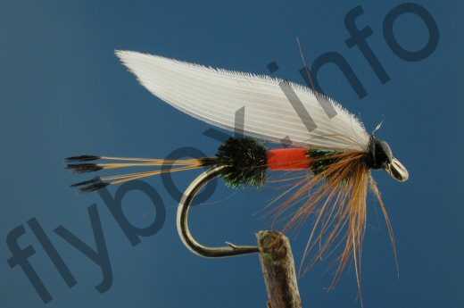 Royal Coachman